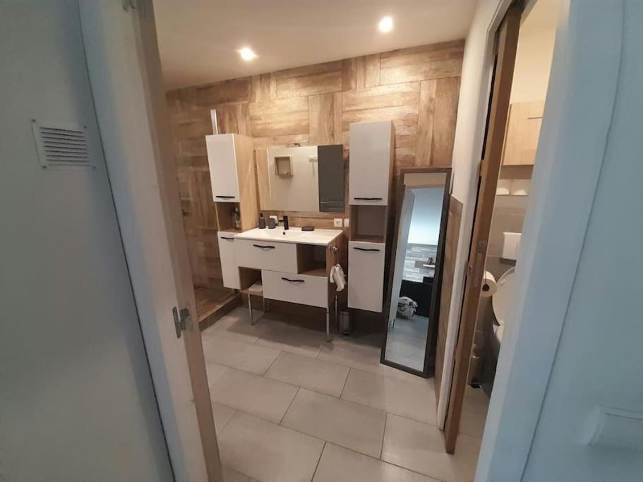 Appartement Spacieux &Tres Calme. Spacious & Very Quiet Apartment. Carros Εξωτερικό φωτογραφία