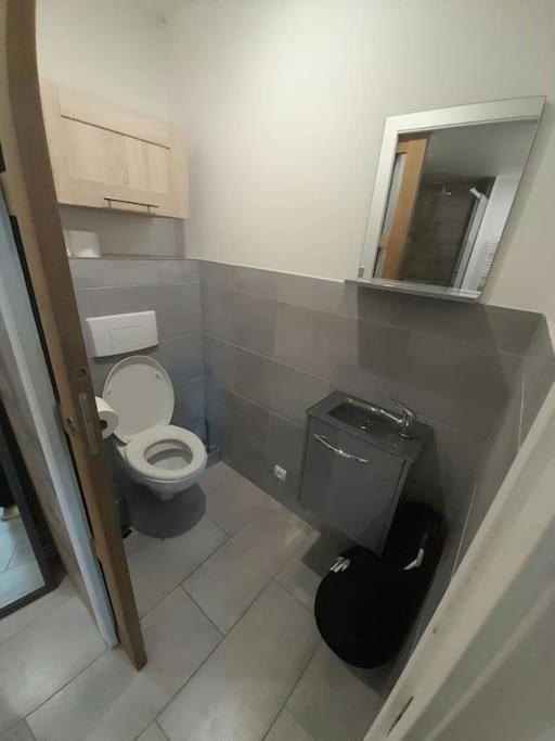 Appartement Spacieux &Tres Calme. Spacious & Very Quiet Apartment. Carros Εξωτερικό φωτογραφία